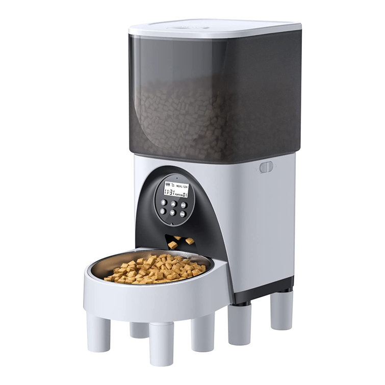 Automatic cat best sale feeder canada